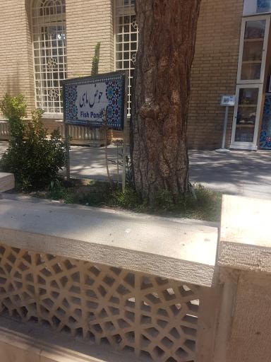 عکس حوض ماهی