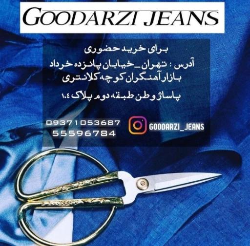 عکس پخش جین گودرزی