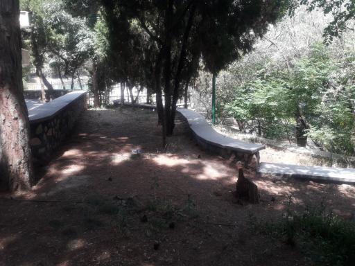 عکس پارک بلوار