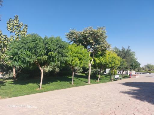 عکس فواره بوستان ارغوان