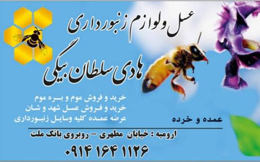 عکس عسل سلطان بیگی