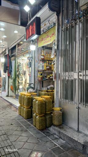 عکس زیتون نظری طارم