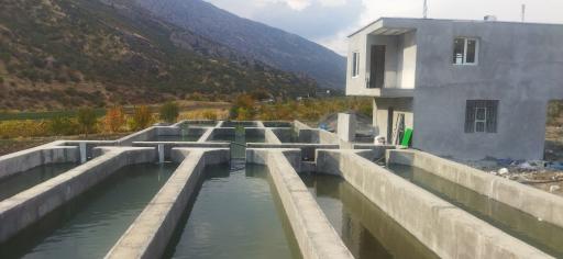 عکس سروآباد