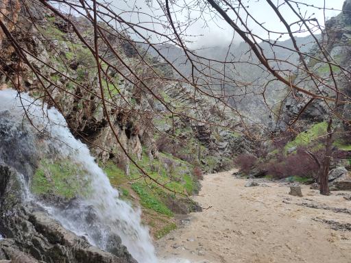 عکس سروآباد