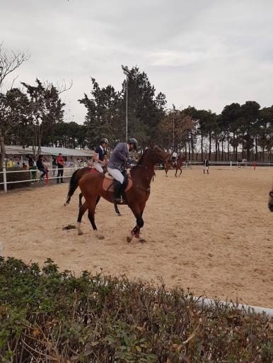 عکس مجموعه سوارکاری و چوگان نوروز آباد