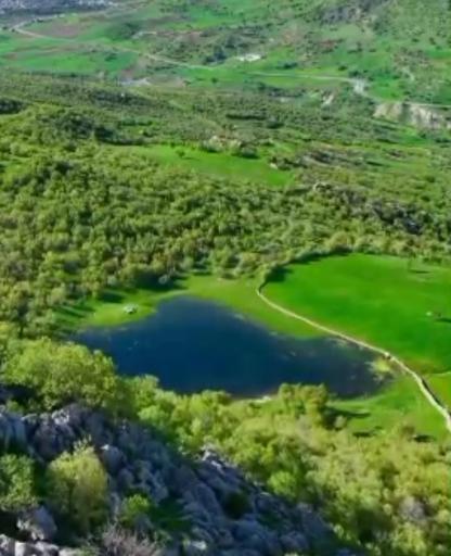 عکس سروآباد