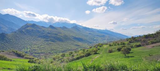 عکس سروآباد