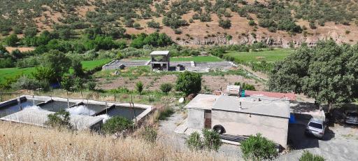 عکس سروآباد