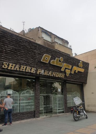 عکس شهر پرنده