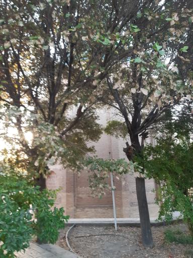 عکس باغ تاریخی گنبد سبز