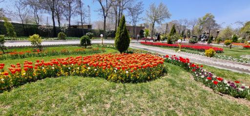 عکس باغ لاله‌های اراک