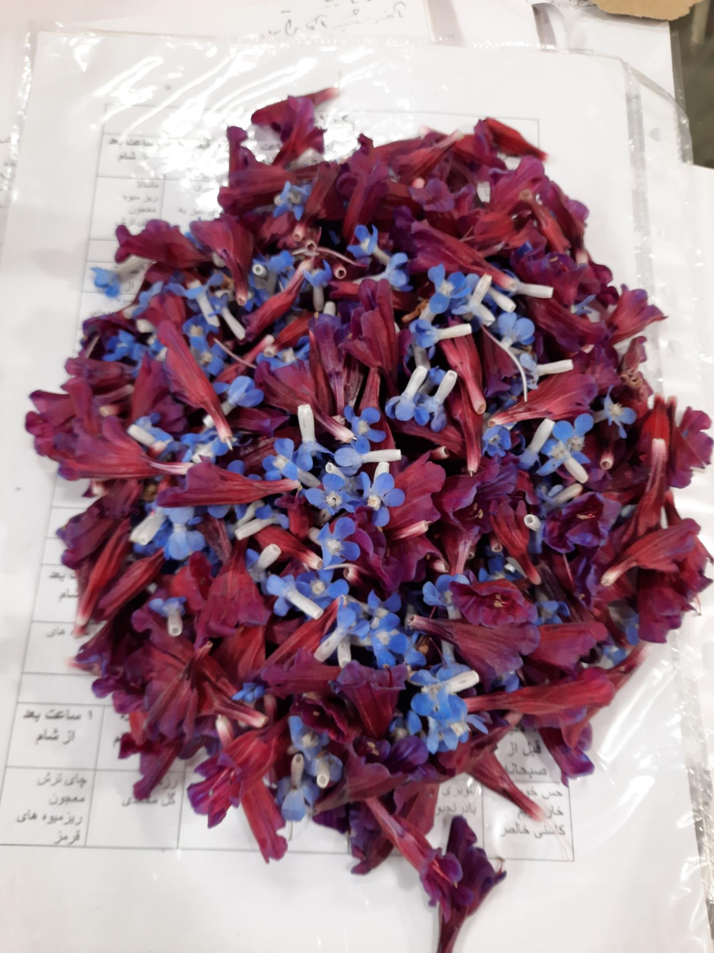 عکس عطاری قائم(استادطهماسبی)