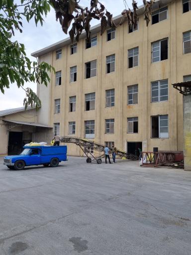 عکس کارخانه آرد گندم طلایی