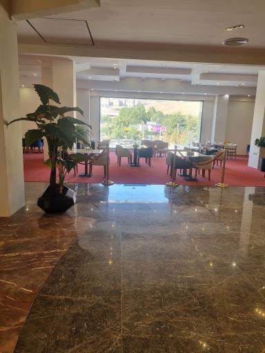 عکس هتل ژین پالاس 