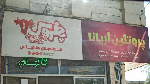 عکس پروتئین آریانا