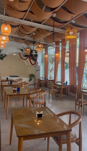 عکس کافه رستوران پالونیا