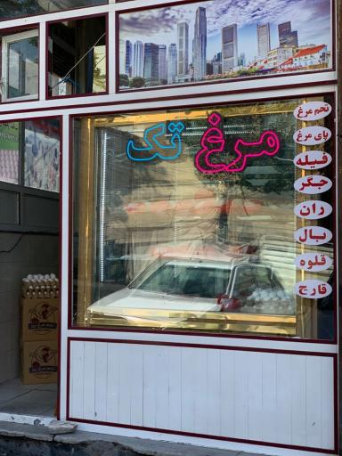 عکس مرغ تک