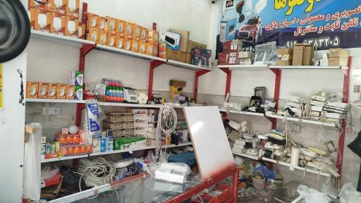 الکتریکی دوقلوها