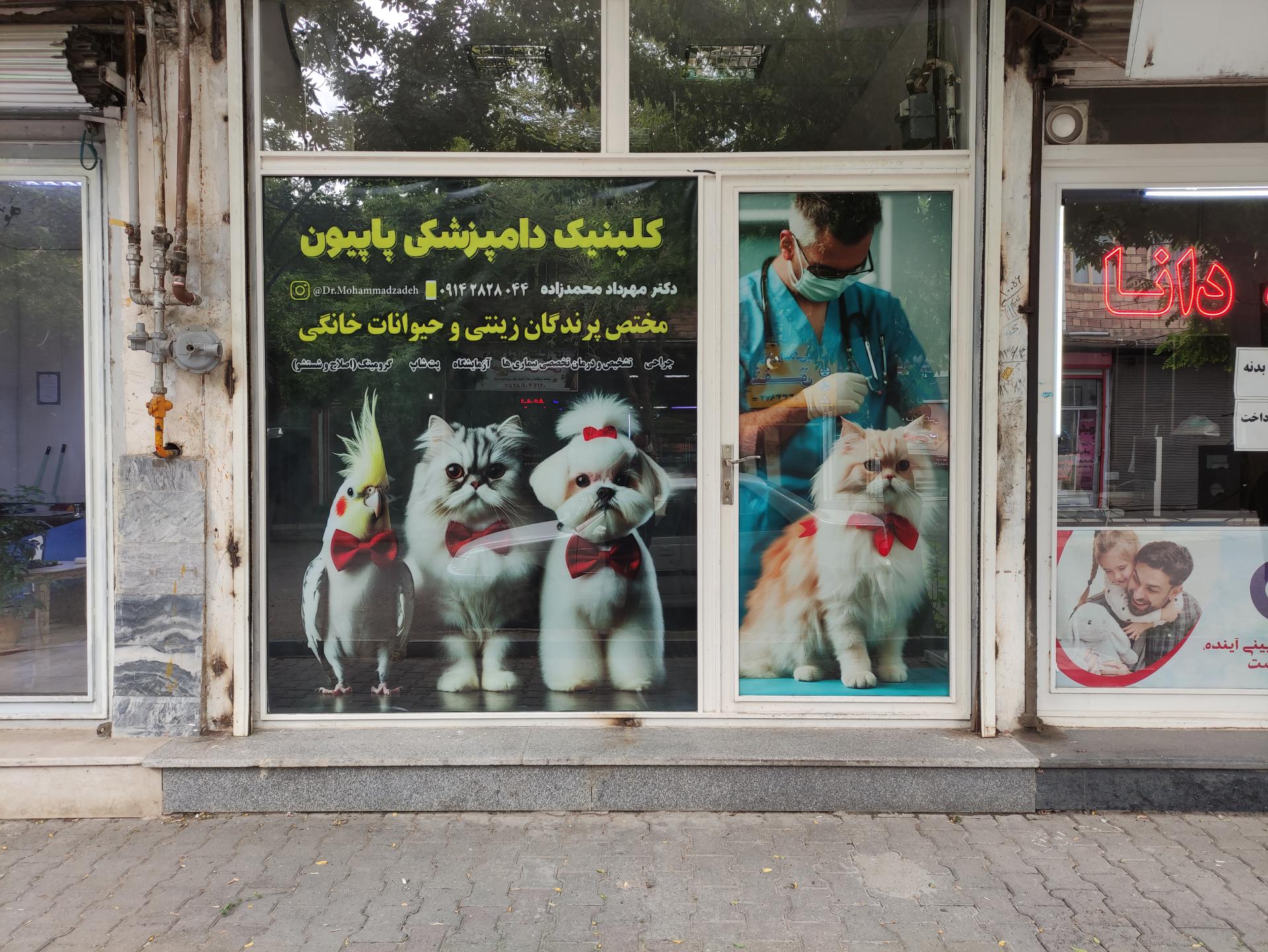 عکس کلینیک دامپزشکی حیوانات خانگی و پرندگان زینتی دکتر محمدزاده