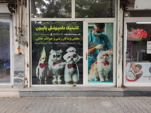 عکس کلینیک دامپزشکی حیوانات خانگی و پرندگان زینتی دکتر محمدزاده