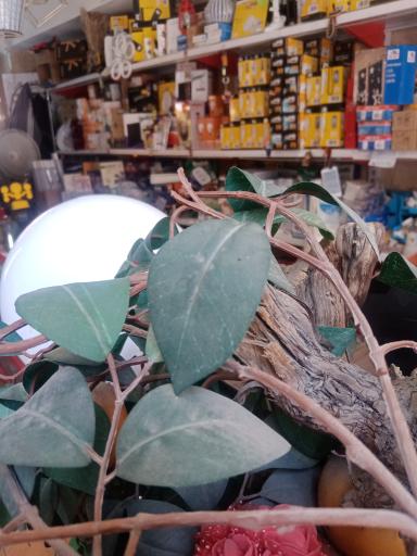 عکس الکتریکی