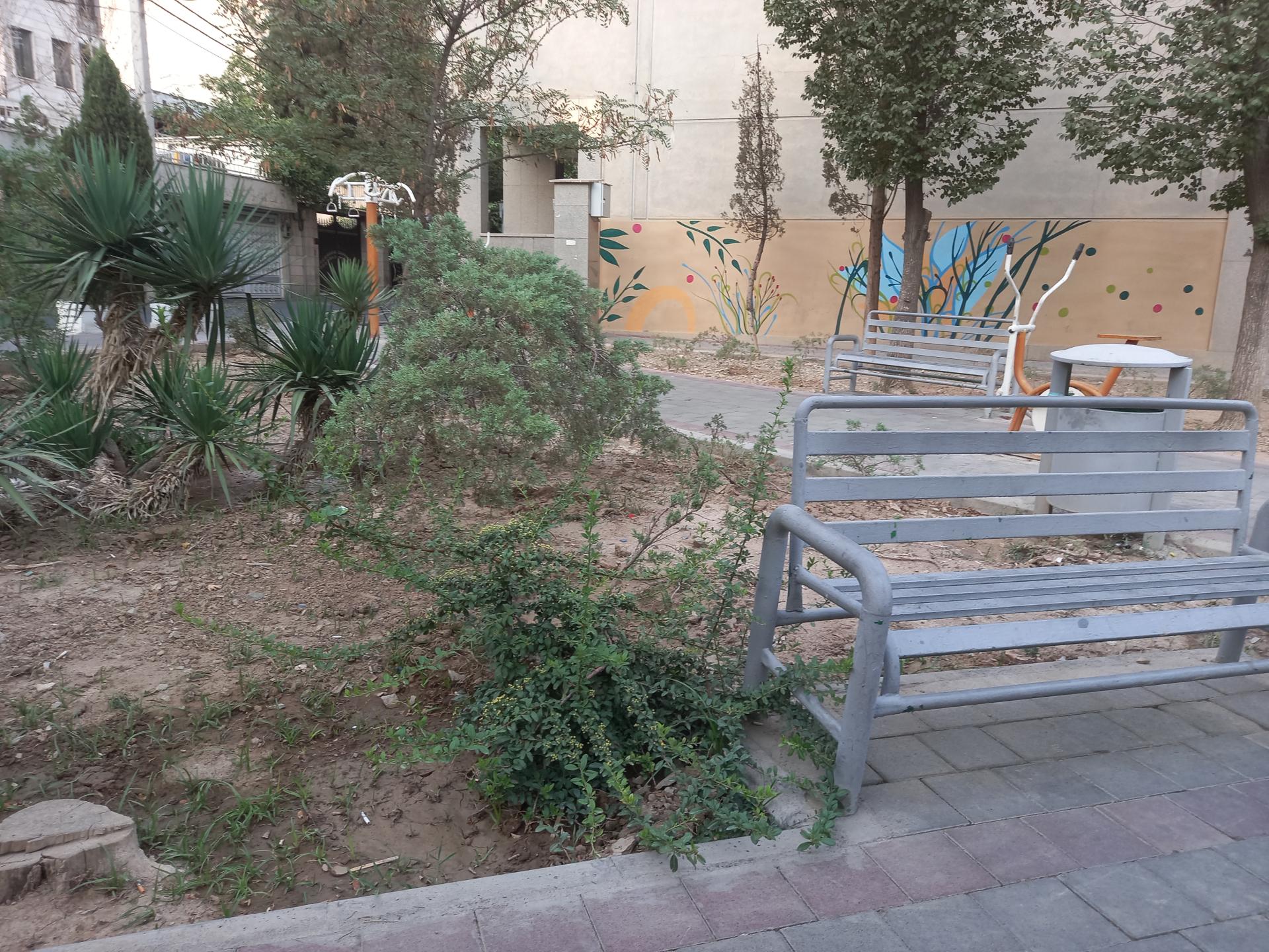 عکس بوستان سرو