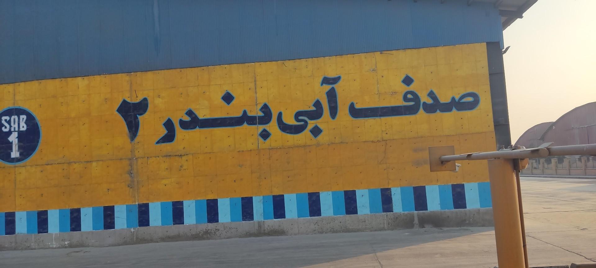 عکس صدف آبی بندر 2