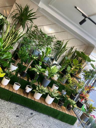 عکس گل فروشی فلورنس