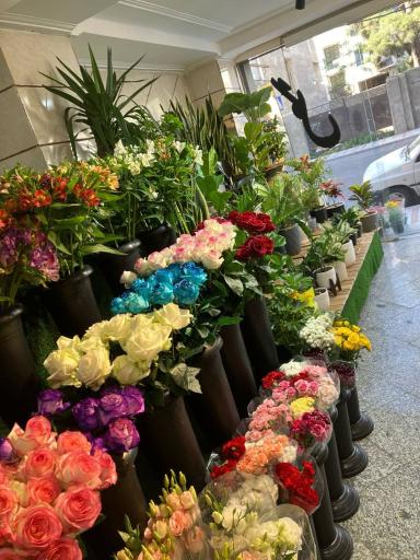 عکس گل فروشی فلورنس