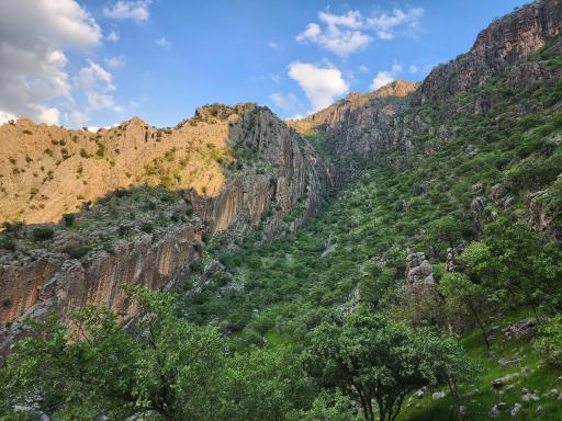 عکس تنگ پیرزال