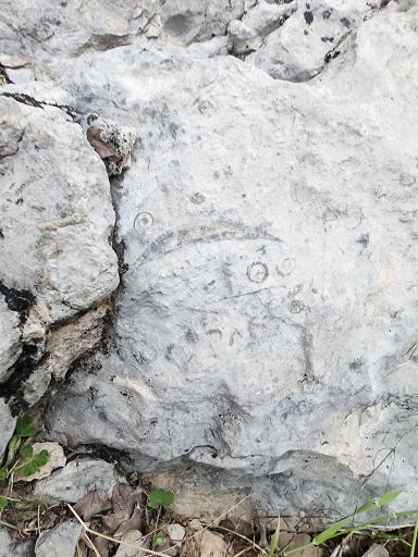 عکس تنگ پیرزال