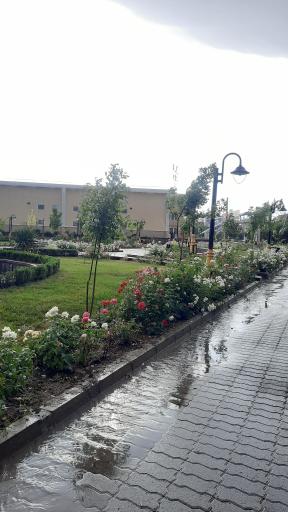 عکس دانشگاه خیام