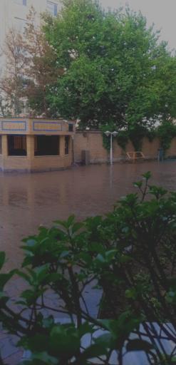 عکس دانشگاه خیام