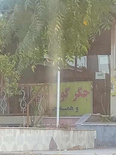 عکس جگرکی