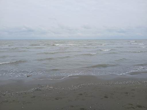 عکس ساحل
