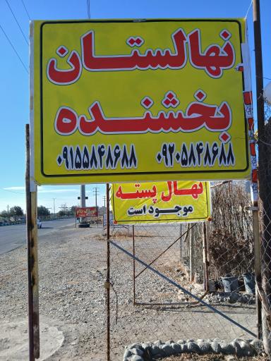 عکس نهالستان بخشنده