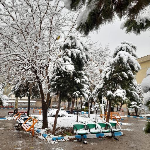 عکس دانشگاه خیام