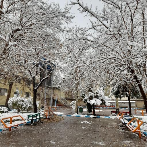 عکس دانشگاه خیام