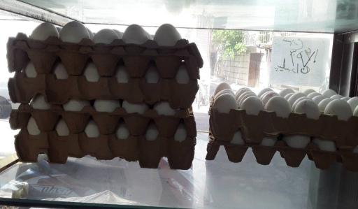 عکس سوپر پروتئینی سلطان