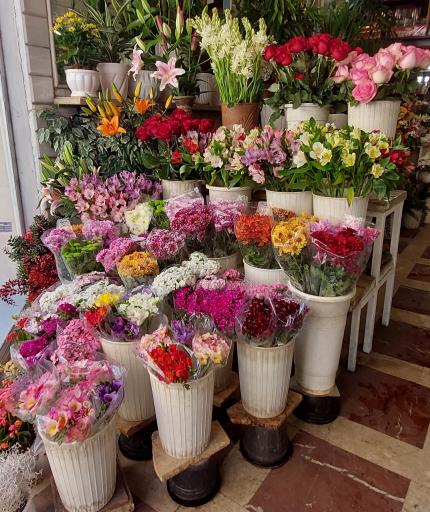 عکس گل فروشی پونه