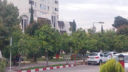 عکس هتل جهانگردی شیراز