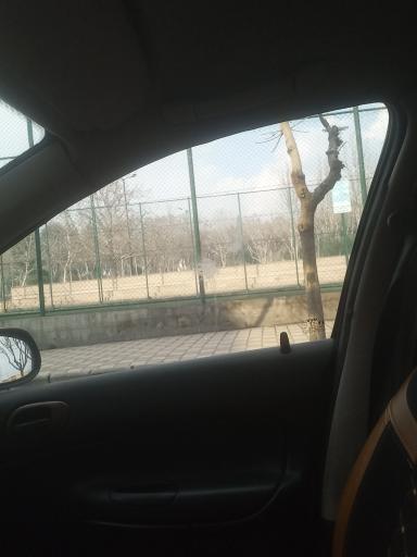 عکس زمین چمن