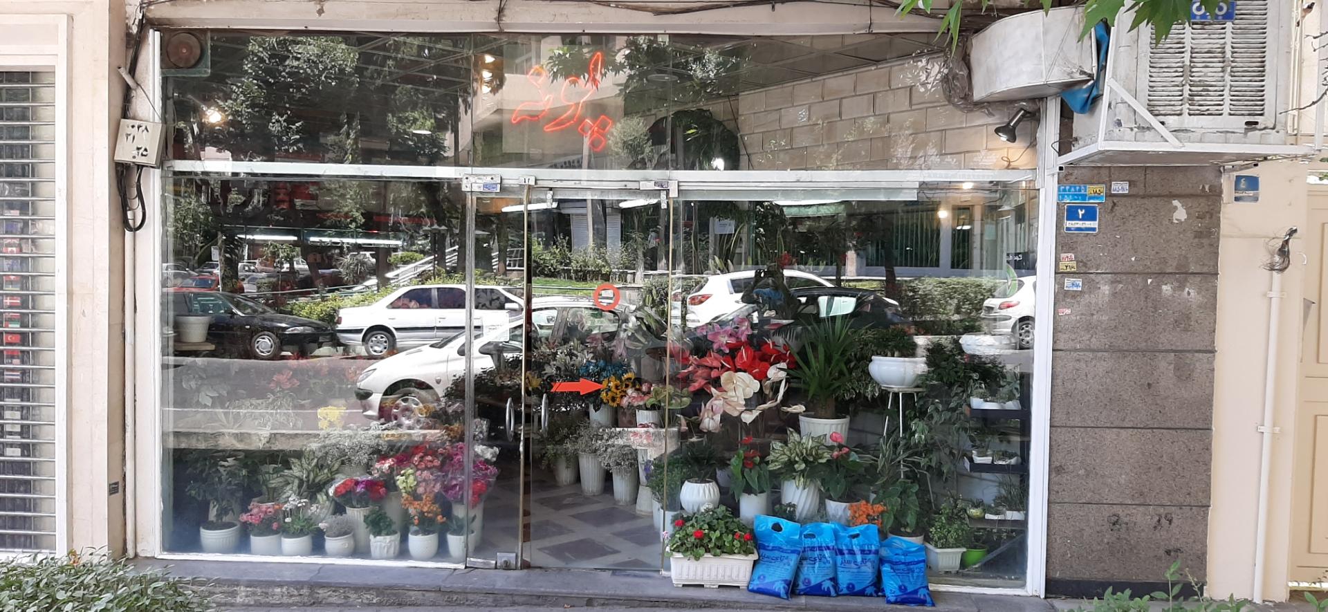 عکس گل فروشی پونه