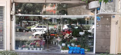 عکس گل فروشی پونه