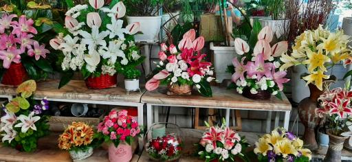 عکس گل فروشی پونه