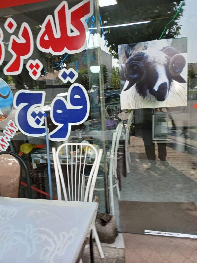 عکس کله پزی قوچ 