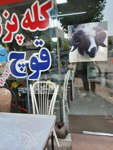 عکس کله پزی قوچ 