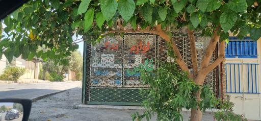 عکس فروشگاه ثامن