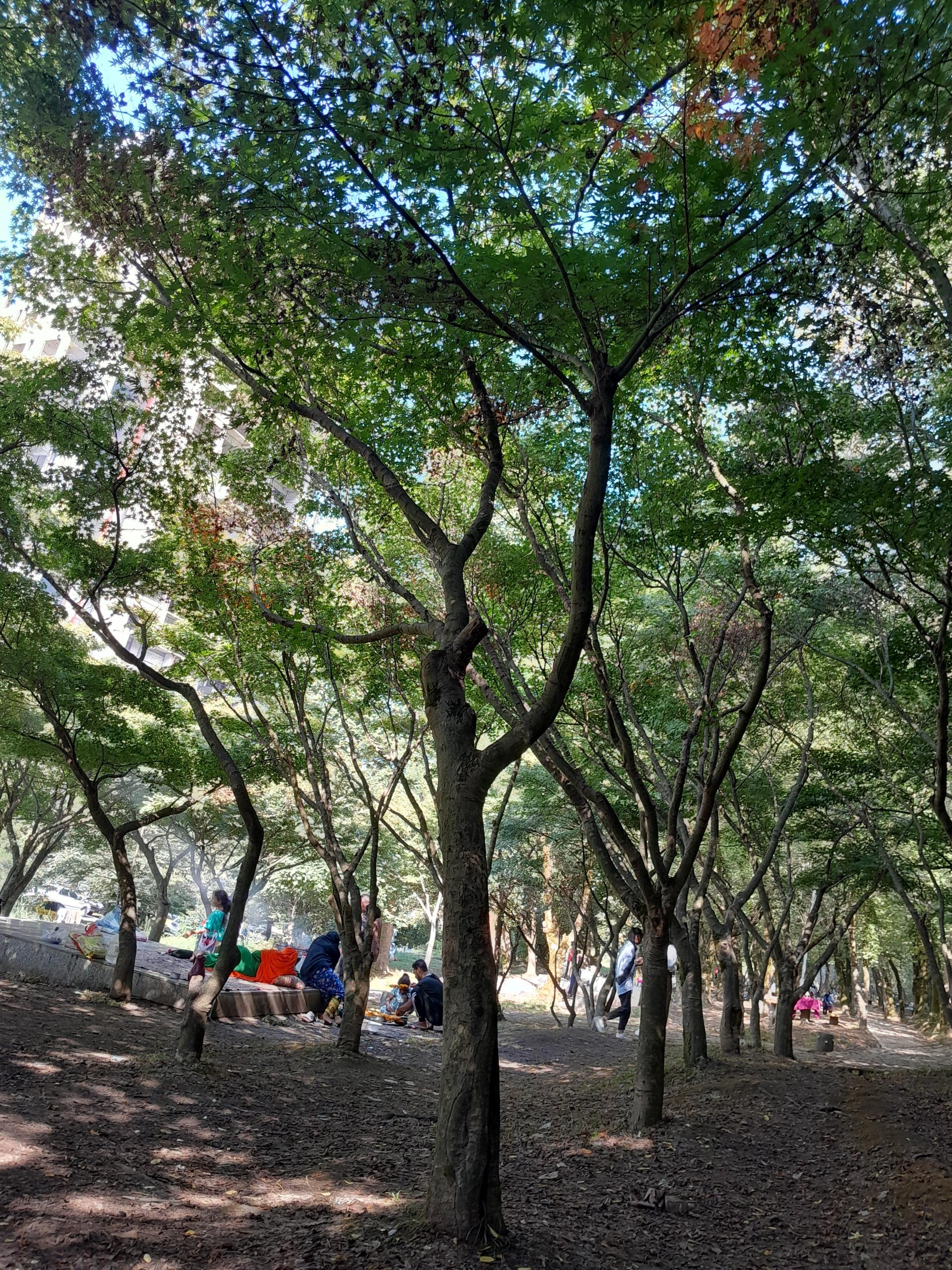 عکس حوض آبشار نمک آبرود