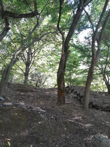 عکس حوض آبشار نمک آبرود